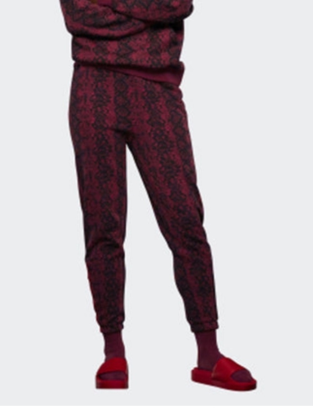 adidas ivy park jogger in cherry wood unisex